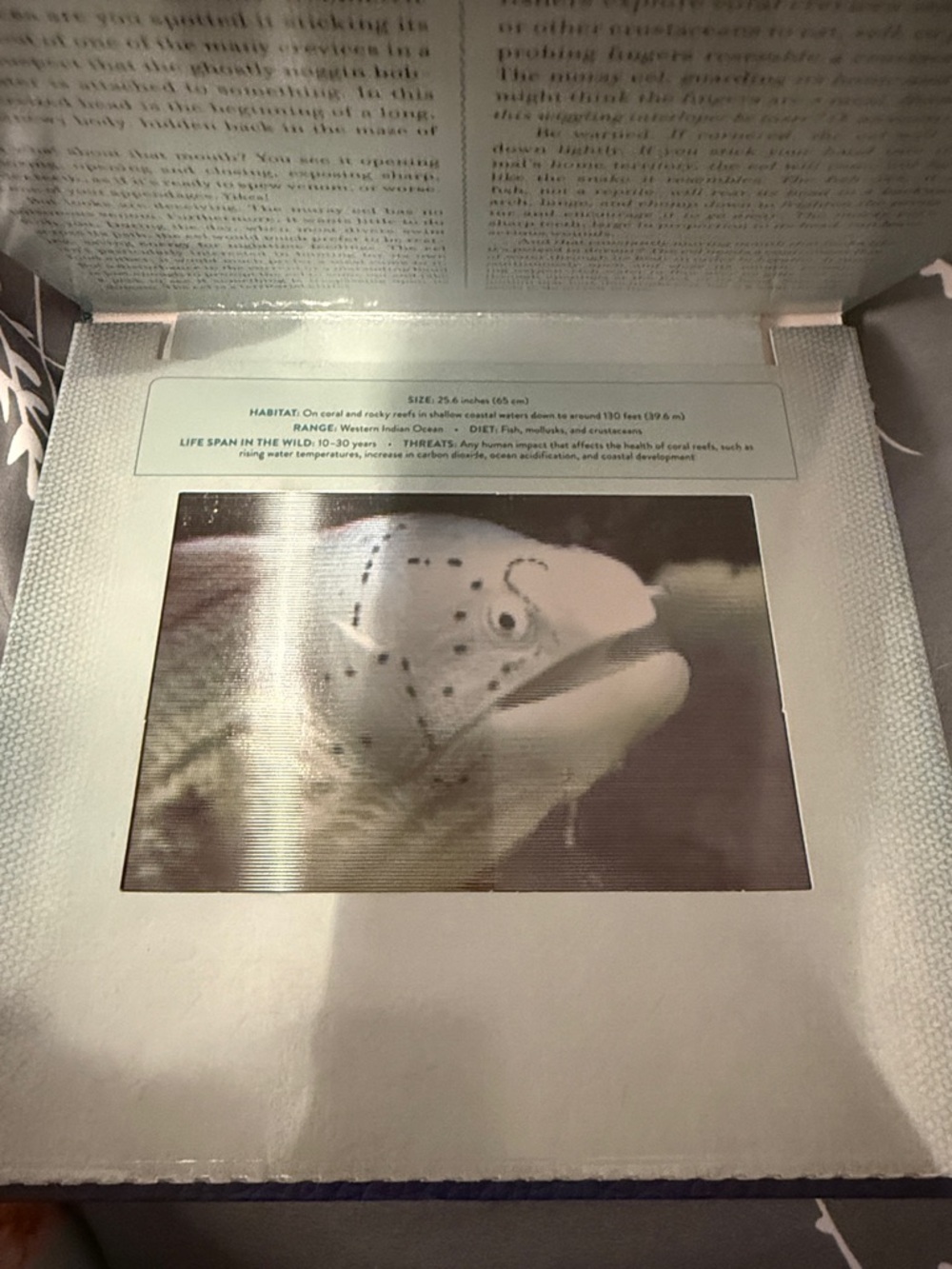 Ocean Photicular Book — Blue and Teal Hardcover - Picture 6 of 9
